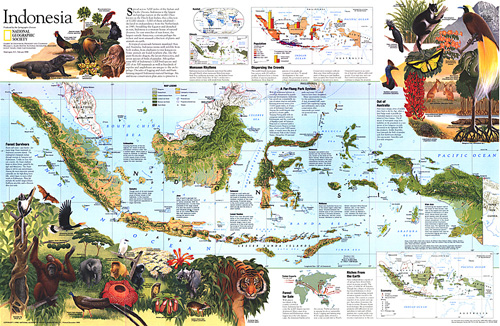 indonesia theme map theme map