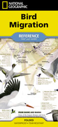 Bird Migration [folded]