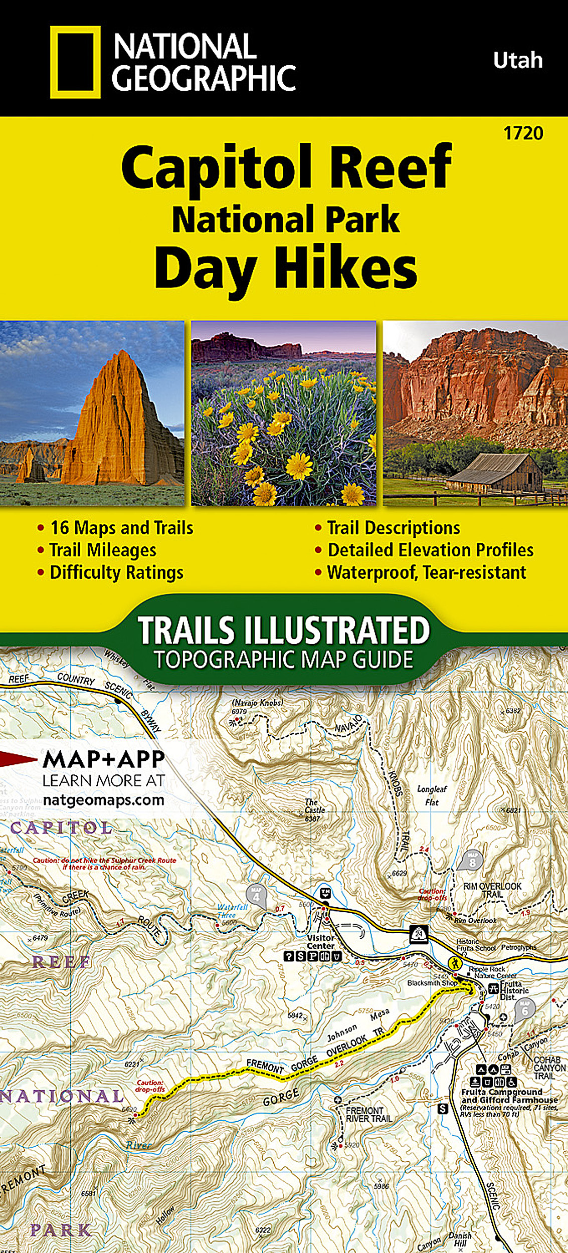 Capitol Reef National Park Day Hikes